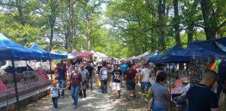 Spectacole în aer liber la Târgu-Jiu