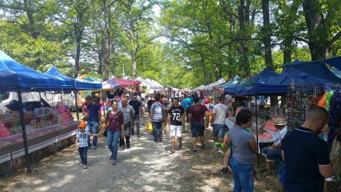 Spectacole în aer liber la Târgu-Jiu