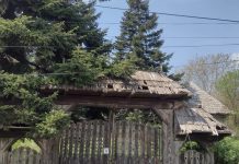 Muzeul Satului din Lelești, lăsat în paragină. Clădirea distrusă, terenul plin de mărăcini, autoritatea locală – cu mâinile în buzunare!