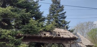 Muzeul Satului din Lelești, lăsat în paragină. Clădirea distrusă, terenul plin de mărăcini, autoritatea locală – cu mâinile în buzunare!