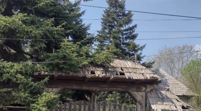 Muzeul Satului din Lelești, lăsat în paragină. Clădirea distrusă, terenul plin de mărăcini, autoritatea locală – cu mâinile în buzunare!