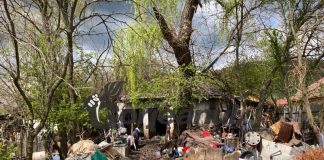 VIDEO: Animale confiscate pentru că erau crescute în condiții improprii!