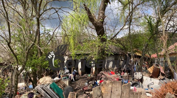 VIDEO: Animale confiscate pentru că erau crescute în condiții improprii!