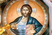 Educaţia…şi Lecţia de viaţă! – Ortodoxia salvează România – HRISTOS A ÎNVIAT! ADEVĂRAT A ÎNVIAT! – ,,Învierea nu e doar lucrarea firii divine a Lui Hristos, ci şi a firii Sale umane îndumnezeite”! (Hristu Andrutsos).