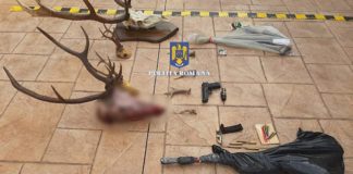 IGPR: Cazul de braconaj din octombrie, de la Obârșia Lotrului, dat exemplu la nivel național
