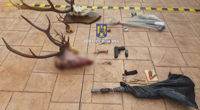 IGPR: Cazul de braconaj din octombrie, de la Obârșia Lotrului, dat exemplu la nivel național