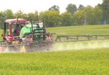 Agricultura pe înțelesul tuturor – Erbicidarea cerealelor păioase în primăvară ploioasă