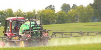 Agricultura pe înțelesul tuturor – Erbicidarea cerealelor păioase în primăvară ploioasă