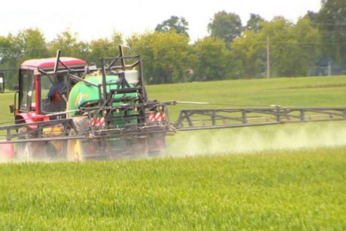 Agricultura pe înțelesul tuturor – Erbicidarea cerealelor păioase în primăvară ploioasă