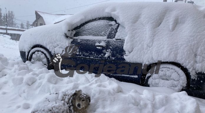 Viscol și ninsori la Rânca!