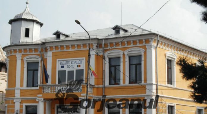 Post de secretar la Palatul Copiilor Târgu-Jiu