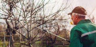 Agricultura pe înțelesul tuturor – Protecția fitosanitară a pomilor fructiferi