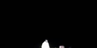 VIDEO: Pescar gorjean salvat din Dunăre!