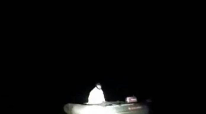 VIDEO: Pescar gorjean salvat din Dunăre!