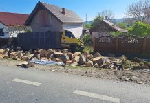 Plopșoru: Bărbat lovit de lemnele răsturnate dintr-o mașină care a ajuns în curte