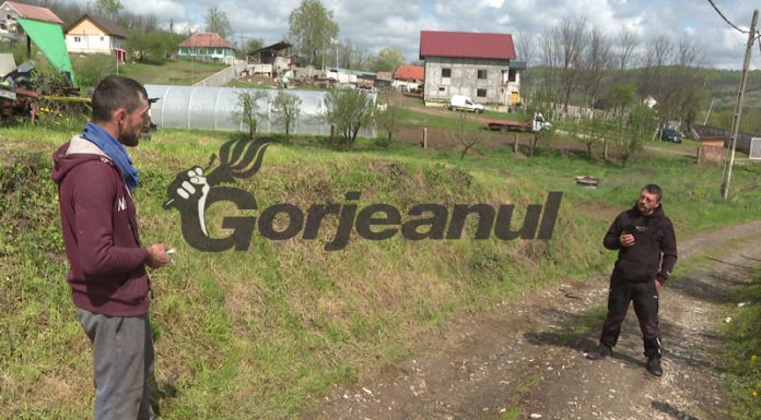 I-a împușcat câinele finului în a doua zi de Paști! Dosar penal!