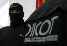 Răpire în stil mafiot lângă Baia de Aramă!