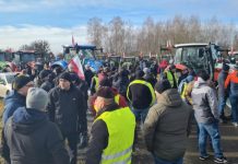 Ministrul polonez al Agriculturii a demisionat în timpul vizitei lui Zelenski