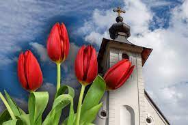 Floriile: 1,8 miloane de români au nume de flori