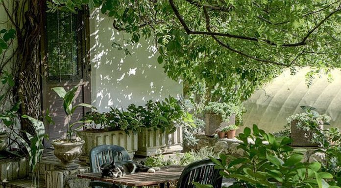 Cum să îți decorezi grădina: Idei creative și sfaturi practice