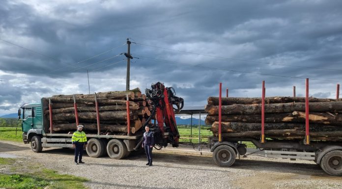 Rovinari: Lemne confiscate de polițiști, în trafic