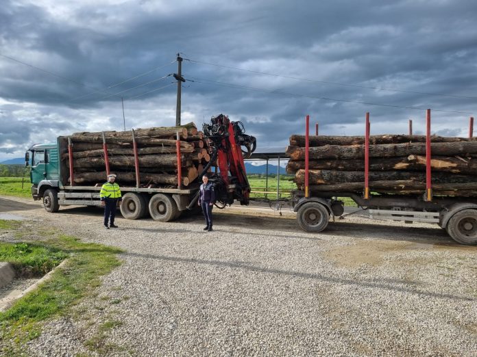 Rovinari: Lemne confiscate de polițiști, în trafic