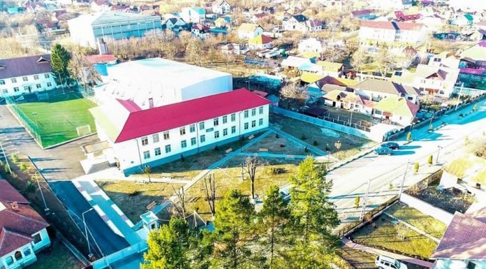 Aur pentru doi elevi din Novaci la olimpiadele naționale