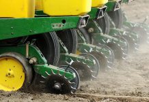 Agricultura pe înțelesul tuturor – Semănați corect porumbul