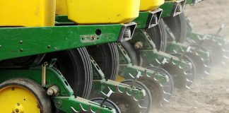 Agricultura pe înțelesul tuturor – Semănați corect porumbul