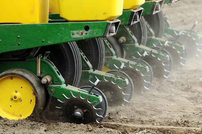 Agricultura pe înțelesul tuturor – Semănați corect porumbul