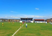 Finala cupei județene va avea loc la Bustuchin