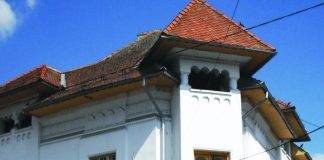 Concurs de proiecte pentru șefia Bibliotecii Județene