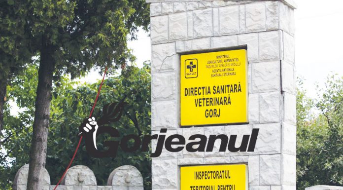 Amenzi de 116.700 de lei, aplicate în Gorj de către inspectorii sanitar-veterinari