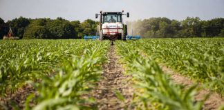 Agricultura pe înțelesul tuturor – Graficul lucrărilor agricole în luna mai