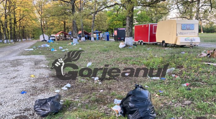 Mormane de gunoaie, după petrecerea din pădurea de la Drăgoieni!