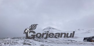 A mai nins o dată la munte!