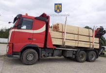 Camion cu lemne pentru construcții, fără documente. Dosar penal pentru un tânăr de 23 de ani