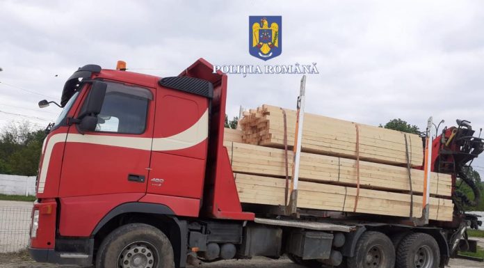 Camion cu lemne pentru construcții, fără documente. Dosar penal pentru un tânăr de 23 de ani