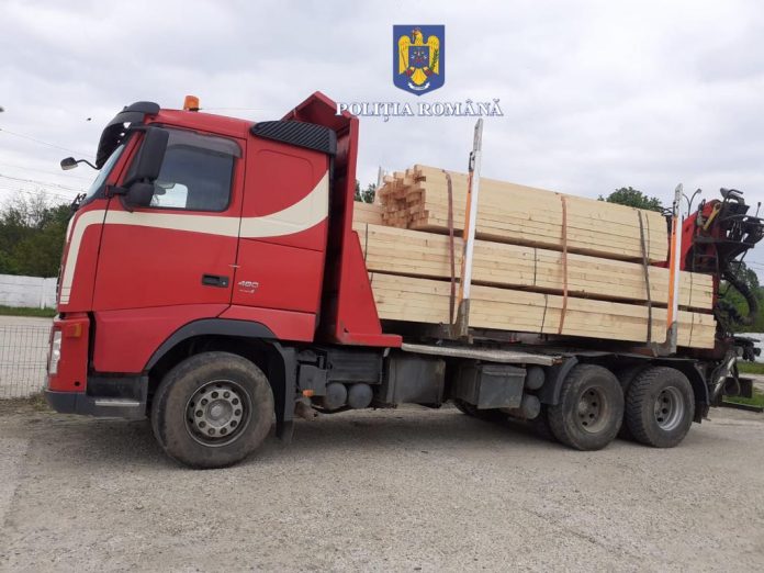 Camion cu lemne pentru construcții, fără documente. Dosar penal pentru un tânăr de 23 de ani
