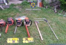 Novaci: Pădurari și transportatori de lemne taiau și vindeau pădurea, întocmind documente în fals
