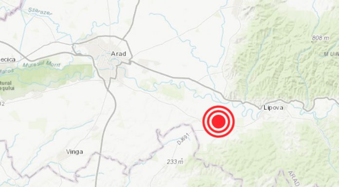 Cutremur de 4,6 la Arad