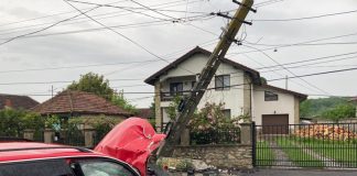 Accident la Arcani generat de o pisică! Satul, lăsat fără curent!