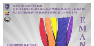 Concurs național de pictură și grafică la Târgu Jiu