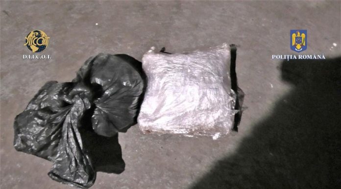 De la „căpșunar”, la traficant de droguri. Cannabis vândut în Târgu Jiu și Rovinari