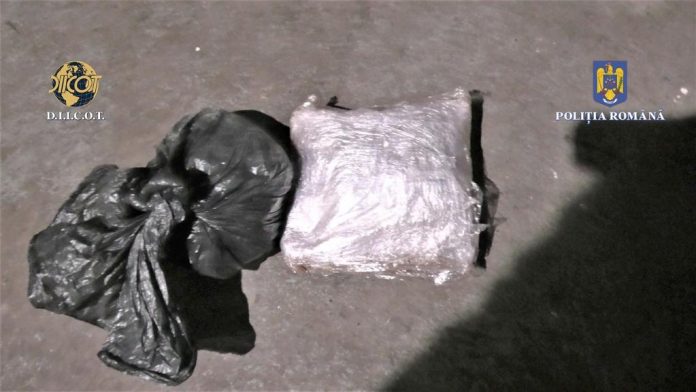 De la „căpșunar”, la traficant de droguri. Cannabis vândut în Târgu Jiu și Rovinari