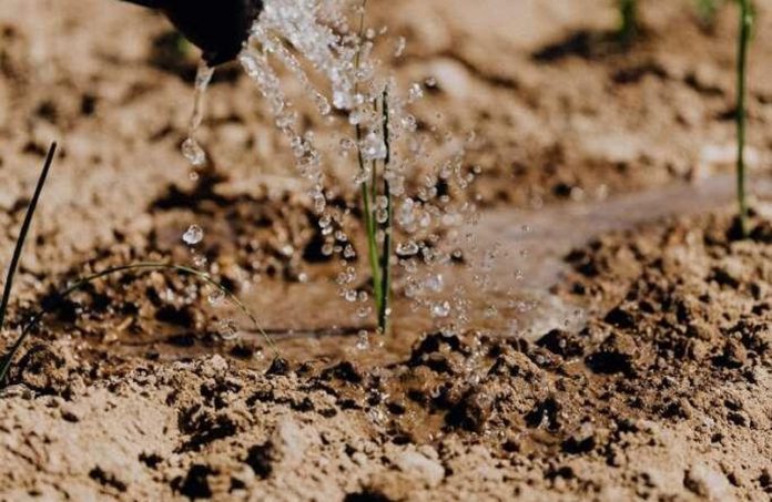 fertilizare-sol-683x445