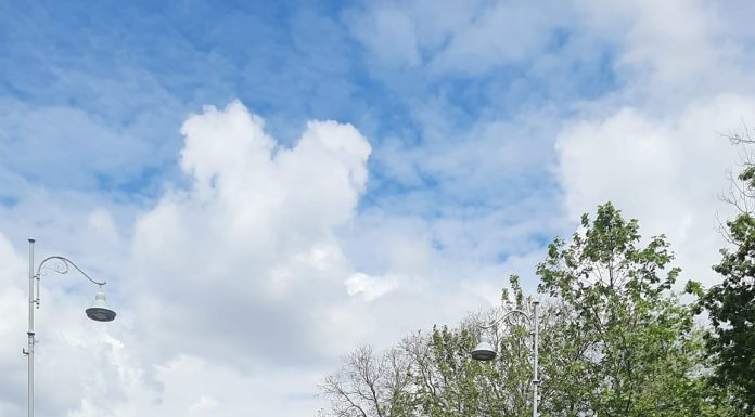 Grevă generală în învățământ din 22 mai