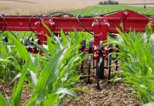 Agricultura pe înțelesul tuturor – Graficul lucrărilor agricole în luna iunie