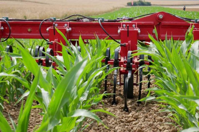 Agricultura pe înțelesul tuturor – Graficul lucrărilor agricole în luna iunie