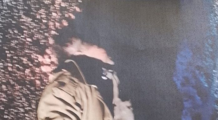 Accidentul mortal de la ieșire din Corcova, fără suspect de un an de zile! Inspecția Judiciară pune batista pe țambal